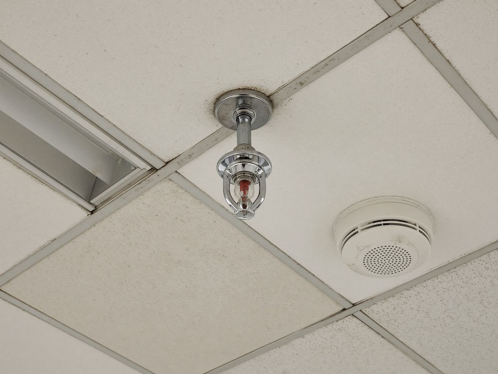 Sprinkler head close up